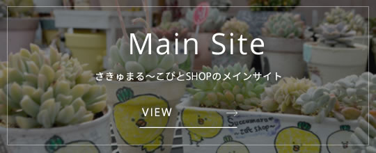 本サイトはこちら